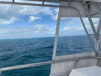 Great day of scuba diving in Key Largo with Rainbow Reef on snapper ledge tropical serenity 2021 01 30 r10639 1