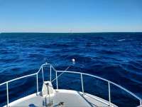 Great day of scuba diving in Key Largo with Rainbow Reef on spanish anchor santana 2021 01 10 r10538 1