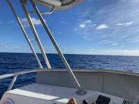 Great day of scuba diving in Key Largo with Rainbow Reef on spiegel grove santana 2021 01 20 r10586 1