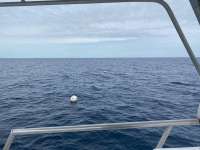 Great day of scuba diving in Key Largo with Rainbow Reef on spiegel grove tropical odyssey 2021 01 17 r10575 1