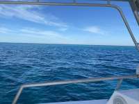Great day of scuba diving in Key Largo with Rainbow Reef on spiegel grove tropical odyssey 2021 01 21 r10589 1