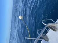 Great day of scuba diving in Key Largo with Rainbow Reef on spiegel grove tropical odyssey 2021 01 23 r10595 1