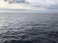 Great day of scuba diving in Key Largo with Rainbow Reef on uscgc duane tropical destiny 2021 01 15 r10564 1