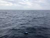 Great day of scuba diving in Key Largo with Rainbow Reef on uscgc duane tropical destiny 2021 01 16 r10568 1