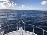 Great day of scuba diving in Key Largo with Rainbow Reef on uscgc duane tropical serenity 2021 01 26 r10608 1