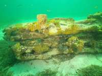 Great day of scuba diving in Key Largo with Rainbow Reef on benwood wreck tropical legend 2021 07 20 r11409 1