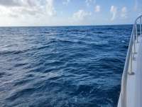 Great day of scuba diving in Key Largo with Rainbow Reef on christmastree cave tropical serenity 2021 07 09 r11341 2