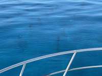 Great day of scuba diving in Key Largo with Rainbow Reef on crf nursery tropical adventure 2021 07 22 r11424 2