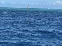 Great day of scuba diving in Key Largo with Rainbow Reef on drift molasses tropical legend 2021 07 21 r11415 2