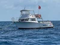 Great day of scuba diving in Key Largo with Rainbow Reef on eagle ray alley tropical adventure 2021 07 24 r11437 4
