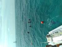 Great day of scuba diving in Key Largo with Rainbow Reef on eagle ray alley tropical legend 2021 07 09 r11342 1