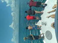 Great day of scuba diving in Key Largo with Rainbow Reef on eagle ray alley tropical odyssey 2021 07 29 r11467 1