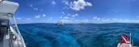 Great day of scuba diving in Key Largo with Rainbow Reef on eagle ray alley tropical serenity 2021 07 17 r11391 1