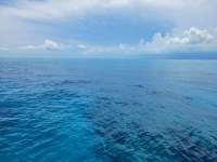 Great day of scuba diving in Key Largo with Rainbow Reef on french reef tropical adventure 2021 07 28 r11462 3