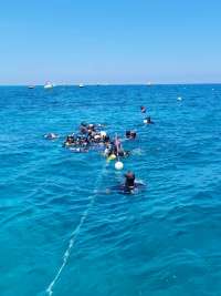 Great day of scuba diving in Key Largo with Rainbow Reef on french twist tropical legend 2021 07 11 r11346 1
