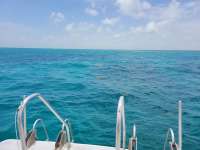 Great day of scuba diving in Key Largo with Rainbow Reef on french twist tropical odyssey 2021 07 10 r11344 1