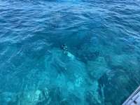 Great day of scuba diving in Key Largo with Rainbow Reef on hole in the wall tropical legend 2021 07 29 r11466 1