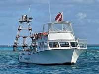 Great day of scuba diving in Key Largo with Rainbow Reef on hole in the wall tropical serenity 2021 07 17 r11385 4