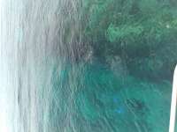 Great day of scuba diving in Key Largo with Rainbow Reef on molasses reef tropical legend 2021 07 01 r11327 1