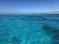Great day of scuba diving in Key Largo with Rainbow Reef on molasses reef tropical legend 2021 07 03 r11335 1