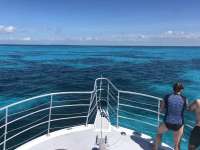 Great day of scuba diving in Key Largo with Rainbow Reef on molasses reef tropical legend 2021 07 03 r11335 3
