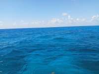 Great day of scuba diving in Key Largo with Rainbow Reef on snapper ledge tropical adventure 2021 07 16 r11380 1
