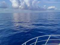 Great day of scuba diving in Key Largo with Rainbow Reef on spiegel grove tropical adventure 2021 07 25 r11444 1