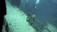 Great day of scuba diving in Key Largo with Rainbow Reef on spiegel grove tropical destiny 2021 07 14 r11360 2