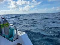 Great day of scuba diving in Key Largo with Rainbow Reef on benwood wreck tropical adventure 2021 06 27 r11311 1