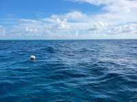 Great day of scuba diving in Key Largo with Rainbow Reef on benwood wreck tropical adventure 2021 06 27 r11311 3