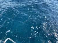 Great day of scuba diving in Key Largo with Rainbow Reef on benwood wreck tropical legend 2021 06 13 r11247 1