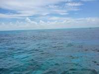 Great day of scuba diving in Key Largo with Rainbow Reef on christ statue tropical serenity 2021 06 22 r11297 1