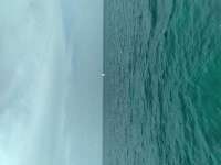 Great day of scuba diving in Key Largo with Rainbow Reef on eagle ray alley tropical legend 2021 06 17 r11264 1