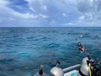Great day of scuba diving in Key Largo with Rainbow Reef on sand island tropical adventure 2021 06 28 r11318 1