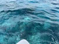 Great day of scuba diving in Key Largo with Rainbow Reef on sand island tropical adventure 2021 06 28 r11318 2