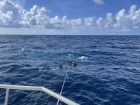 Great day of scuba diving in Key Largo with Rainbow Reef on spiegel grove tropical destiny 2021 06 26 r11310 3