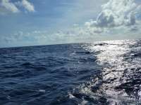 Great day of scuba diving in Key Largo with Rainbow Reef on uscgc duane tropical odyssey 2021 06 25 r11306 1