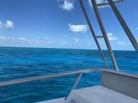Great day of scuba diving in Key Largo with Rainbow Reef on christmastree cave santana 2021 03 13 r10775 1
