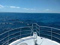Great day of scuba diving in Key Largo with Rainbow Reef on conch ledge tropical legend 2021 03 20 r10816 1