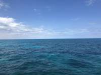Great day of scuba diving in Key Largo with Rainbow Reef on double north tropical serenity 2021 03 21 r10819 1