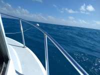 Great day of scuba diving in Key Largo with Rainbow Reef on french deep tropical explorer 2021 03 01 r10751 1
