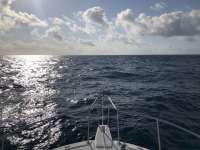 Great day of scuba diving in Key Largo with Rainbow Reef on french twist tropical serenity 2021 03 26 r10838 1