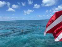 Great day of scuba diving in Key Largo with Rainbow Reef on minnow cave tropical odyssey 2021 03 15 r10793 1