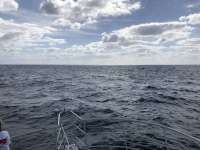 Great day of scuba diving in Key Largo with Rainbow Reef on molasses reef tropical legend 2021 03 13 r10773 1