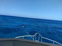 Great day of scuba diving in Key Largo with Rainbow Reef on permit ledges santana 2021 03 26 r10840 1