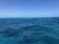 Great day of scuba diving in Key Largo with Rainbow Reef on permit ledges santana 2021 03 30 r10857 1