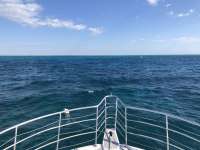 Great day of scuba diving in Key Largo with Rainbow Reef on snapper ledge tropical odyssey 2021 03 05 r10765 1