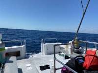 Great day of scuba diving in Key Largo with Rainbow Reef on spiegel grove tropical explorer 2021 03 20 r10815 1