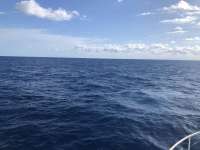 Great day of scuba diving in Key Largo with Rainbow Reef on uscgc duane tropical destiny 2021 03 06 r10769 1