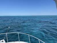 Great day of scuba diving in Key Largo with Rainbow Reef on uscgc duane tropical destiny 2021 03 20 r10813 2